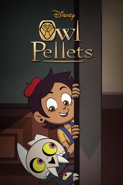 Póster de Owl Pellets