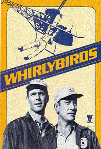 Póster de Pájaros de acero