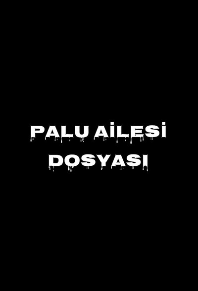 Póster de Palu Ailesi Dosyasi