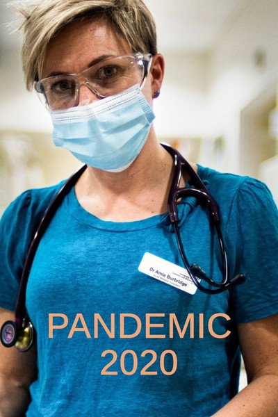 Póster de Pandemic 2020