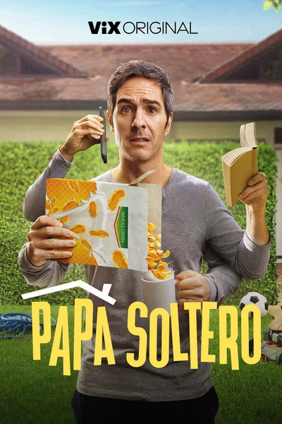 Póster de Papá soltero