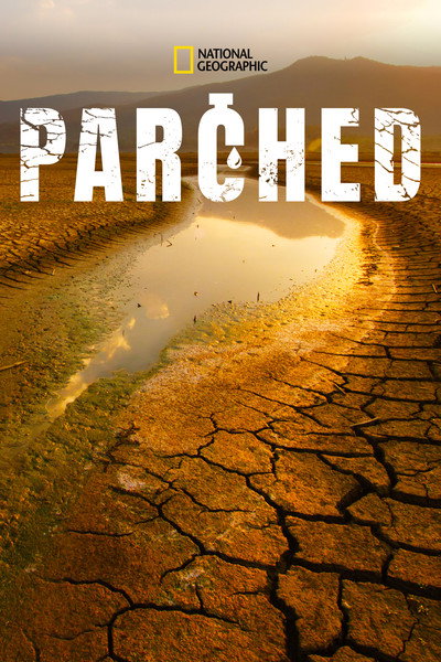 Póster de Parched