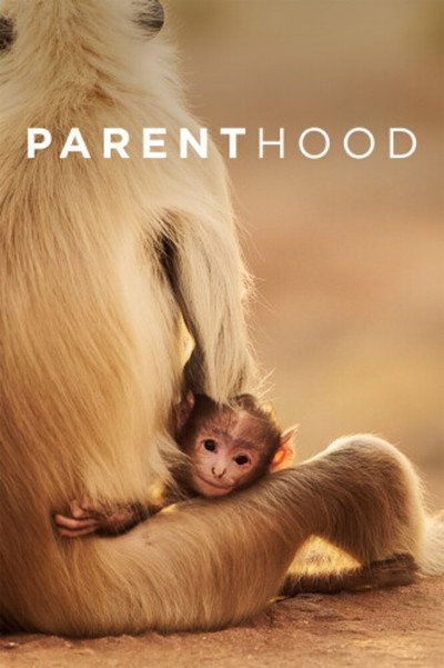 Póster de Parenthood