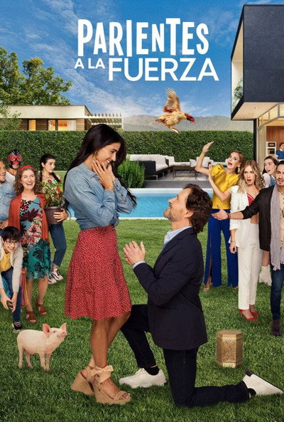 Póster de Parientes a la Fuerza