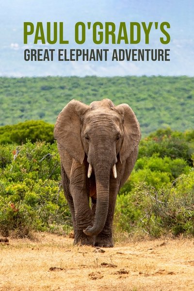 Póster de Paul O'Grady's Great Elephant Adventure