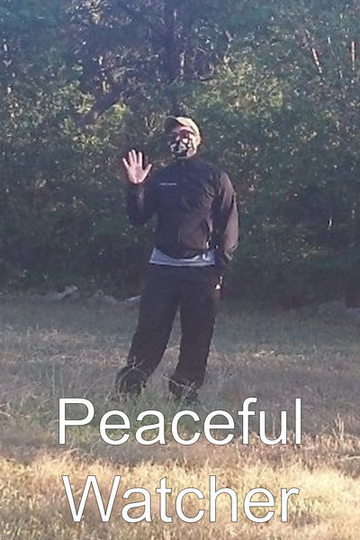 Póster de Peaceful Watcher
