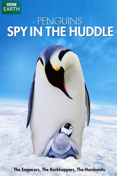 Póster de Penguins: Spy in the Huddle