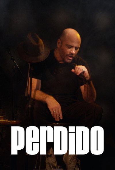 Póster de Perdido