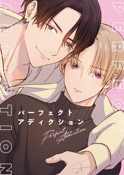 Póster de Perfect Addiction