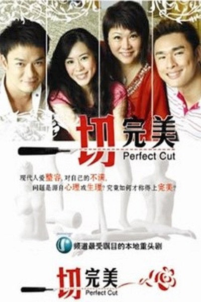 Póster de Perfect Cut