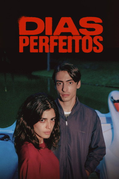 Póster de Perfect Days