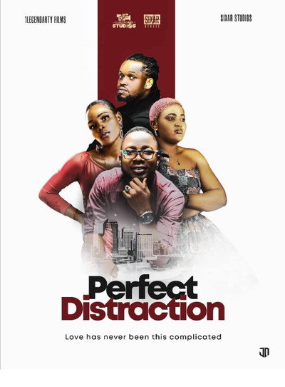 Póster de Perfect Distraction