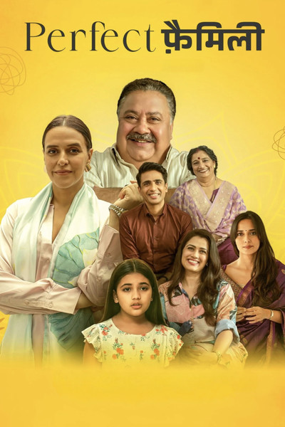 Póster de Perfect Family