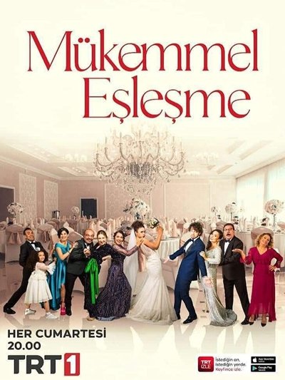 Póster de Perfect Match