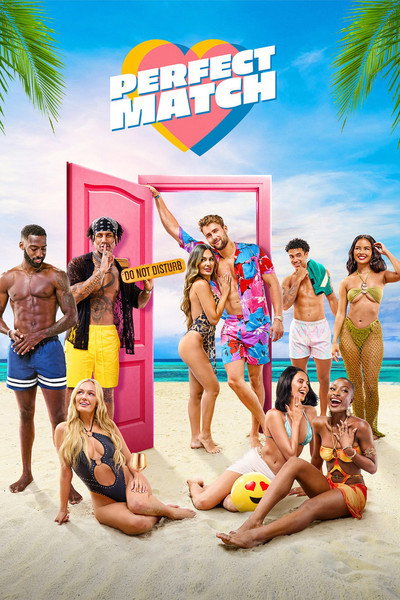 Póster de Perfect Match