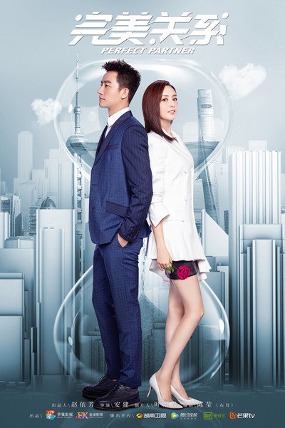 Póster de Perfect Partner