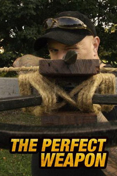 Póster de Perfect Weapon