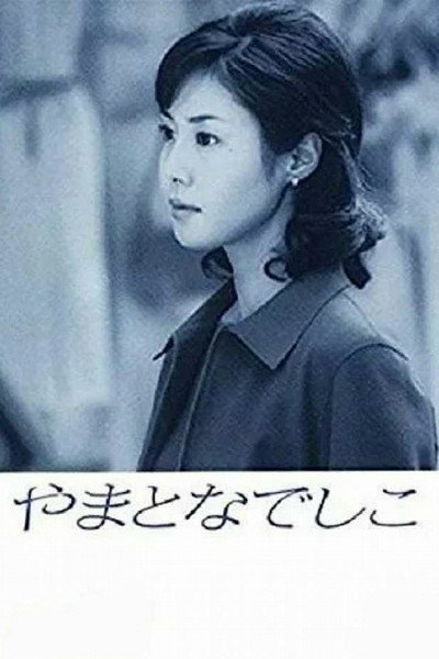 Póster de Perfect Woman