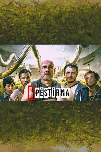 Póster de Pestírna