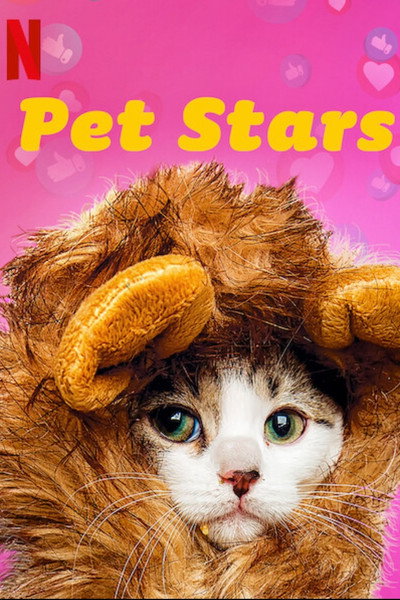 Póster de Pet Stars
