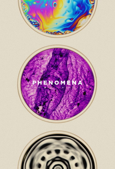 Póster de Phenomena