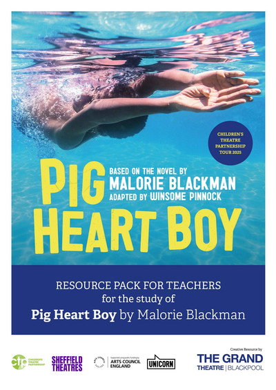 Póster de Pig Heart Boy