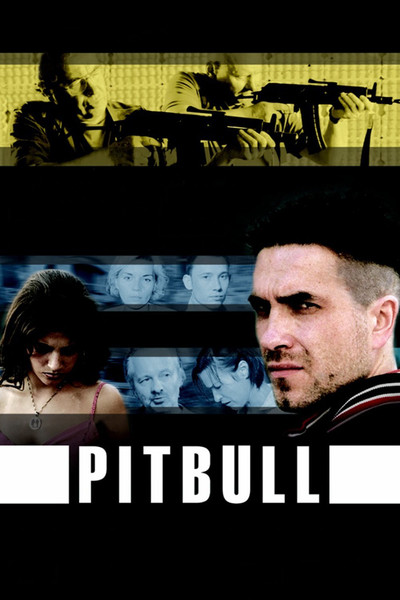 Póster de Pitbull