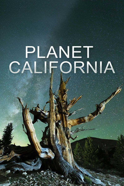 Póster de Planet California