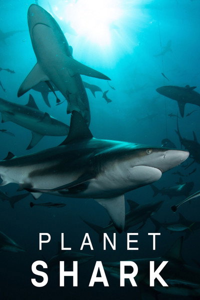 Póster de Planet Shark