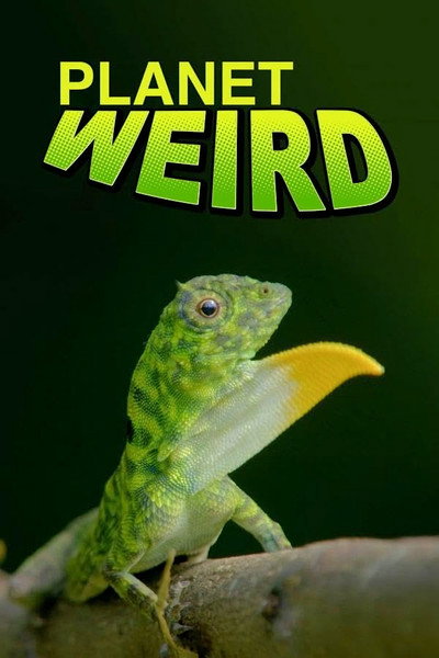Póster de Planet Weird