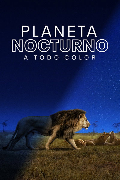 Póster de Planeta nocturno a todo color