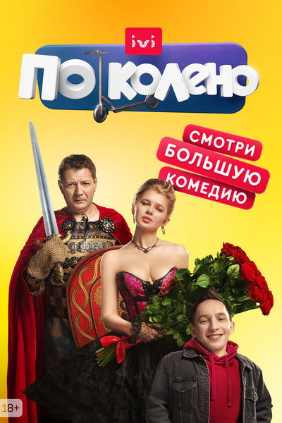 Póster de Po koleno