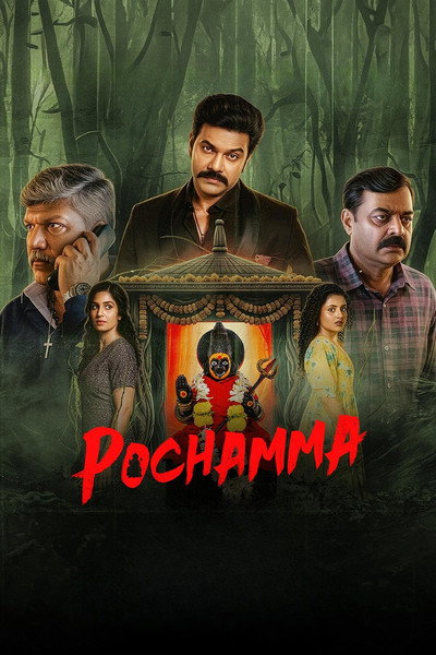Póster de Pochamma