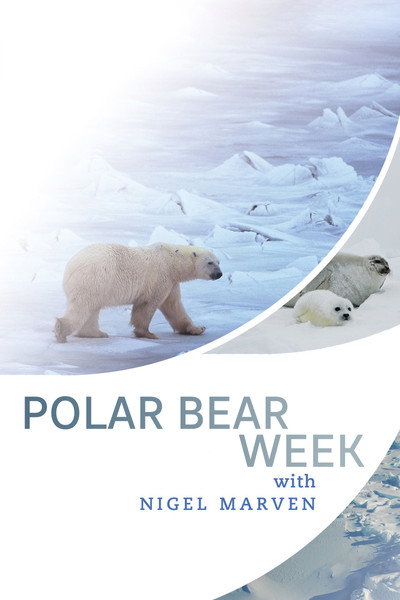 Póster de Polar Bear Week with Nigel Marven
