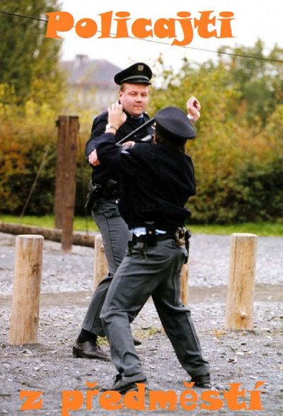 Póster de Policajti z predmestí