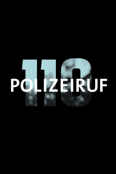 Póster de Police Call 110