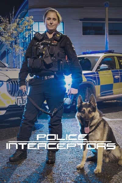 Póster de Police Interceptors