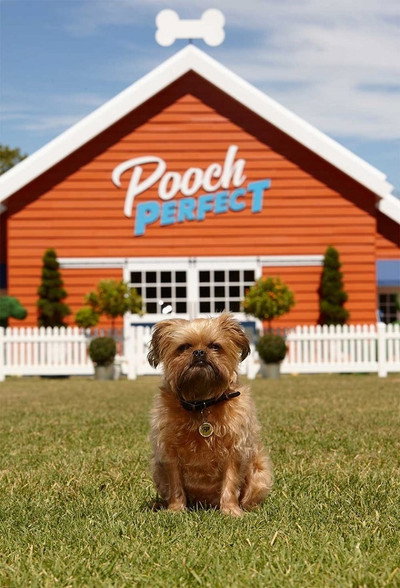 Póster de Pooch Perfect