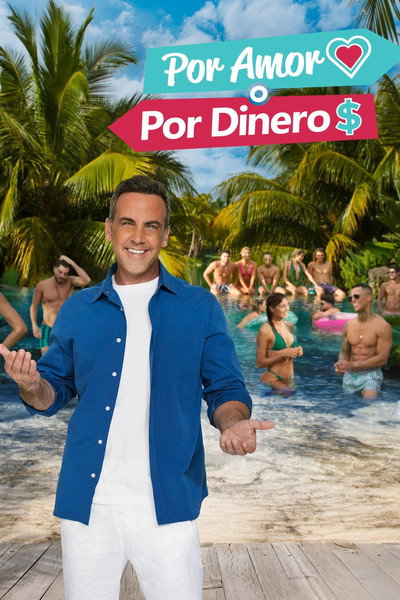 Póster de Por Amor o por Dinero