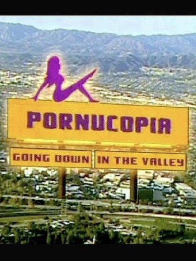 Póster de Pornucopia: Going Down in the Valley