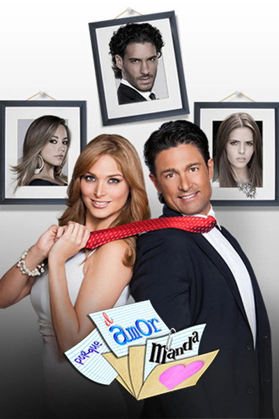 Póster de Porque el amor manda