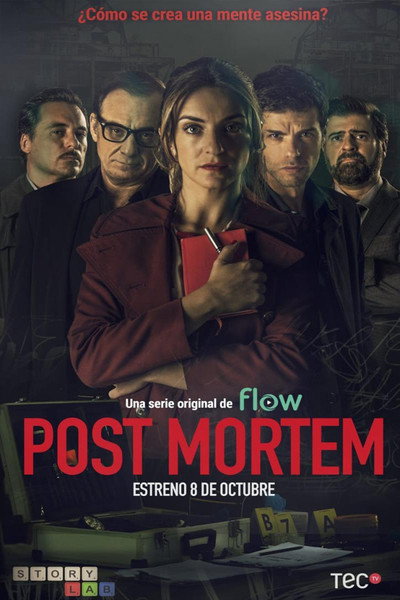 Póster de Post Mortem