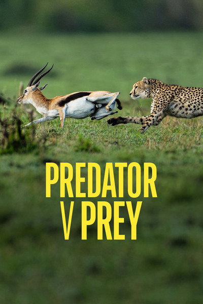 Póster de Predator v Prey