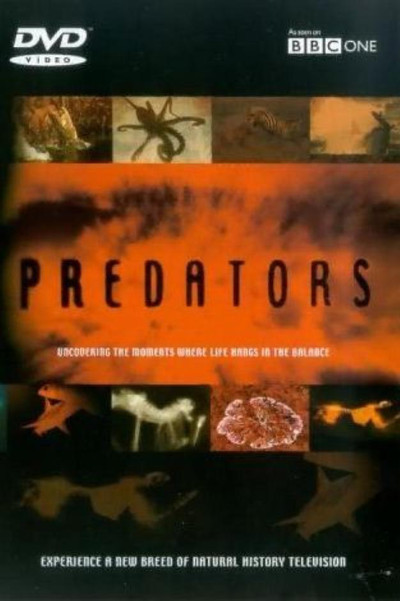 Póster de Predators