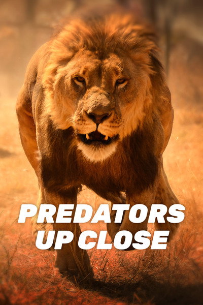 Póster de Predators Up Close with Joel Lambert