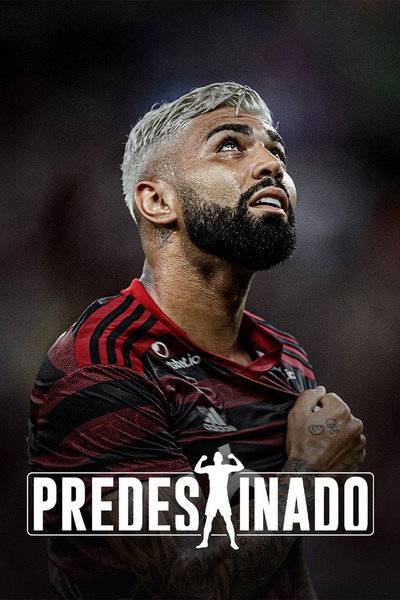 Póster de Predestinado