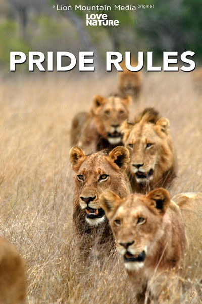 Póster de Pride Rules