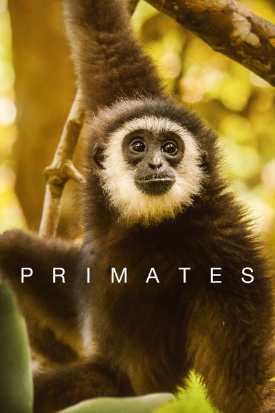 Póster de Primates