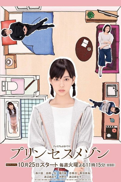Póster de Princess Maison