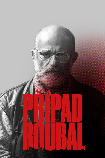 Póster de Prípad Roubal